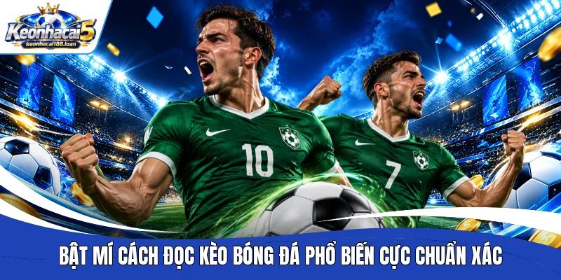 Bật mí cách đọc kèo bóng đá phổ biến cực chuẩn xác