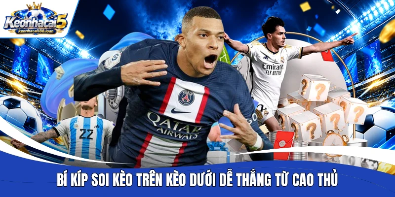 Bí kíp soi kèo trên kèo dưới dễ thắng từ cao thủ