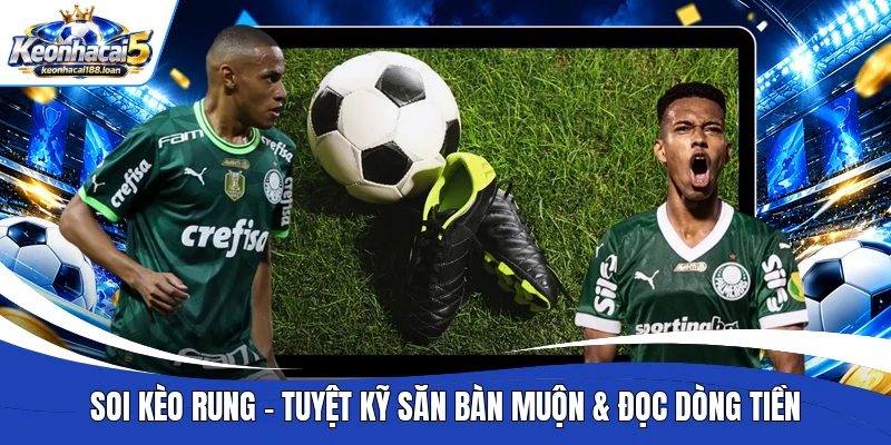 Soi kèo rung