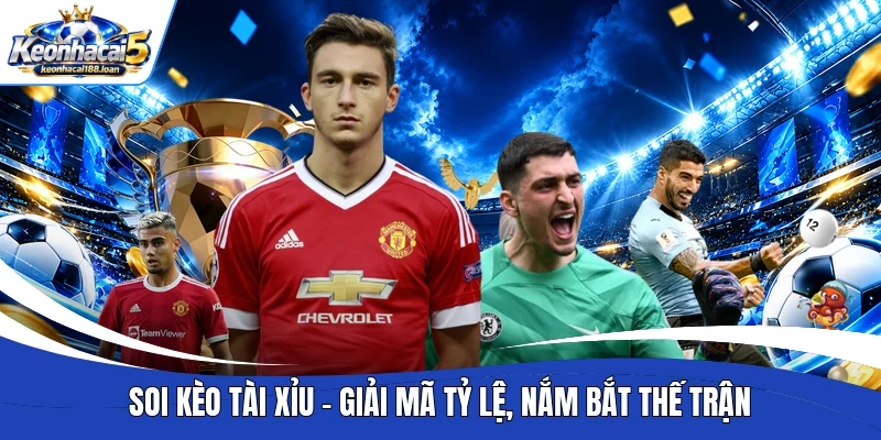 Soi kèo Tài xỉu